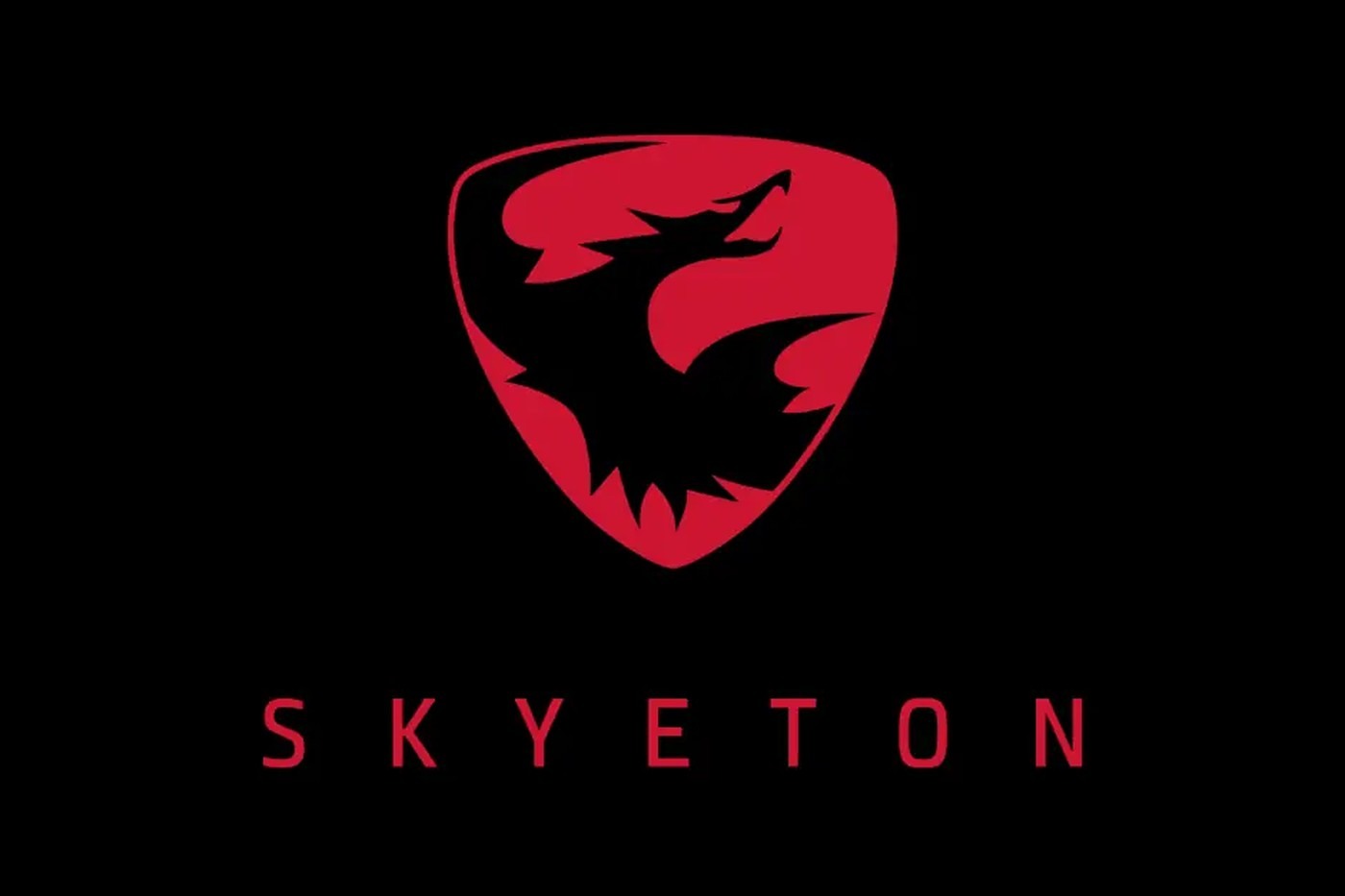 Skyeton і Raybird: українська платформа тривалого повітряного спостереження